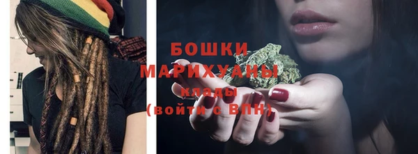 молекула духа Дмитровск