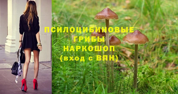 гидра Дмитриев