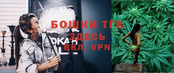 молекула духа Дмитровск