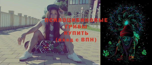 молекула духа Дмитровск