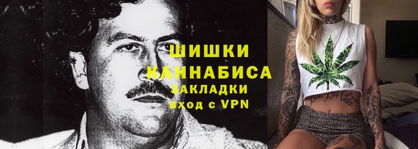 молекула духа Дмитровск