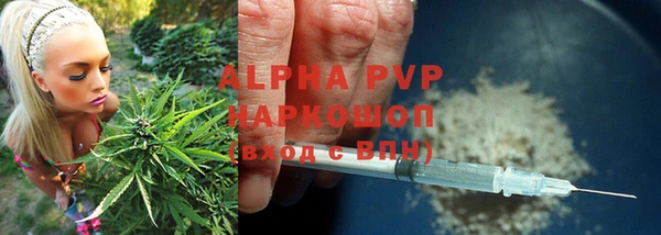 молекула духа Дмитровск